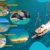 Bucht zu Bucht – Bild 4