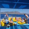 Bucht zu Bucht mit der "Calypso" – Bild 3