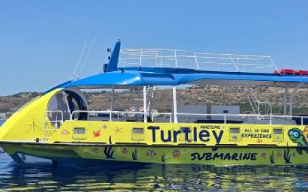 turtley_u_boot_featured_600x216