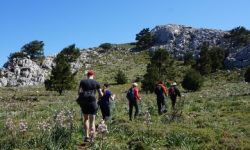 wandern_akramitis_featured_600x216