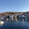 Insel Chalki – Bild 6