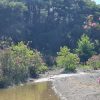 Jeep-Safari – Bild 3