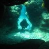 Tauchen – Bild 2