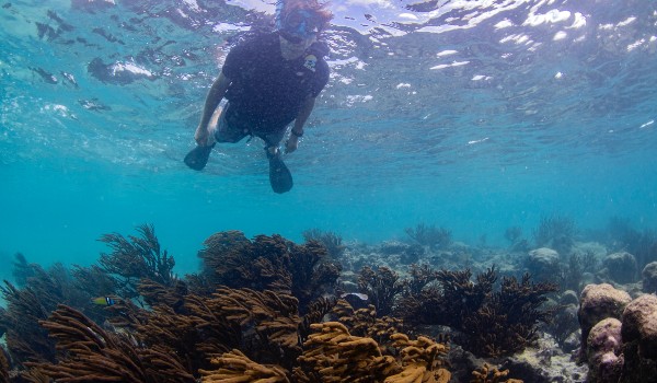 Fantastické podmorské svety – Obrázok 4