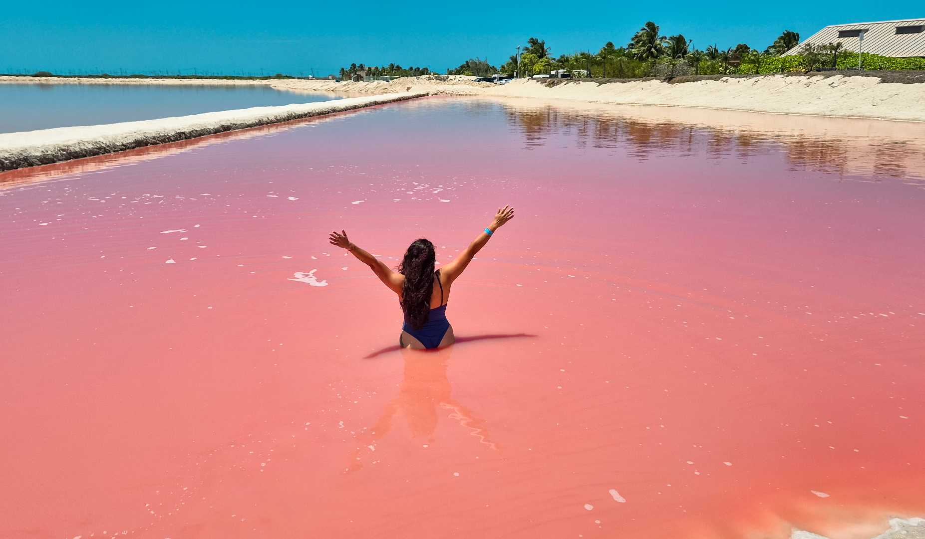 Rio Lagartos et Las Coloradas – Photo 4