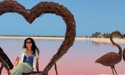 rio_lagartos_&_las_coloradas_featured_600x216