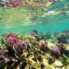 Isla Contoy & Isla Mujeres – Bild 6