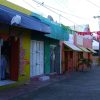 Isla Contoy & Isla Mujeres – Bild 8