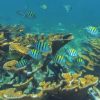 Katamaran Isla Mujeres – Bild 4