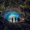 Schnorcheltour Cenoten & Schildkröten – Bild 4