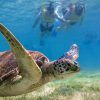 Tulum, Cenoten und Schnorcheln – Bild 2