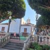 Teneriffas Naturwunder – Vulkane und Wein – Bild 4