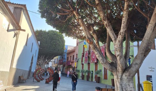 Přírodní divy Tenerife – sopky a víno – Obrázek 2