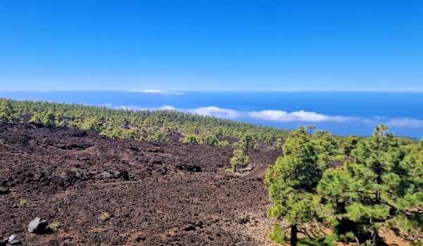 Viaje panorámico Teide-Masca – foto 2