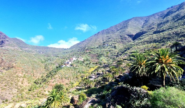 Viaje panorámico Teide-Masca – foto 3