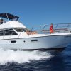Mit der Motoryacht Neptuno zur Walbeobachtung – Bild 2