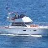 Mit der Motoryacht Neptuno zur Walbeobachtung
