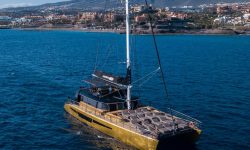 freebird_Puerto.dlC_featured_600x216