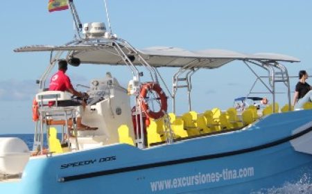 Avistamiento de ballenas_tina_destacado_600x216