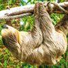 Loro Parque Diamond Tour – Bild 16