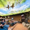 Loro Parque Diamond Tour – Bild 7