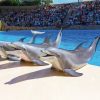 Loro Parque – Bild 6