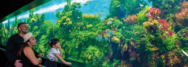 Loro Parque – Bild 7