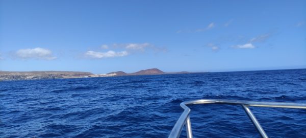 Mit der Motoryacht Neptuno zur Walbeobachtung – Bild 5