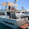 Mit der Motoryacht Neptuno zur Walbeobachtung – Bild 8