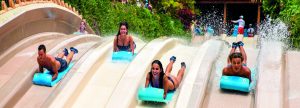 Siam Park