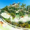 Siam Park – Bild 6