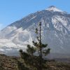Teide