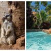 Loro Parque & Siam Park (Twin Ticket)