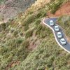 VIP La Gomera – Bild 5