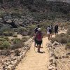 Wanderung "Teide Light" – Bild 5