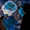 Antalya & Aquarium – Bild 5