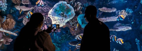 Antalya & Aquarium – Bild 5