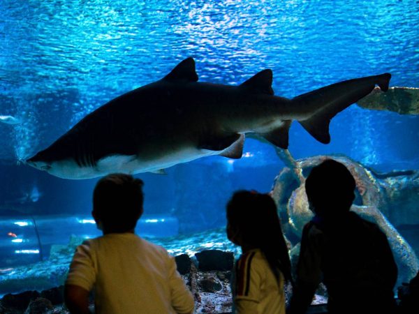 Antalya & Aquarium – Bild 2