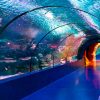 Antalya & Aquarium – Bild 3
