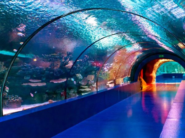 Antalya & Aquarium – Bild 3