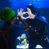 Antalya & Aquarium – Bild 4
