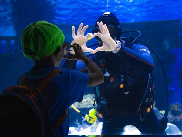 Antalya & Aquarium – Bild 4
