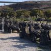Buggy-Safari – Bild 4