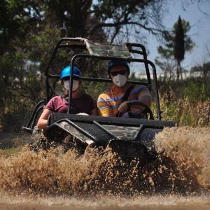 Buggy-Safari