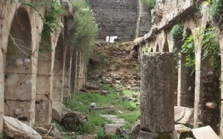 «Улица Сезам» (600x216)