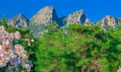 tropic_antalya_featured_600x216