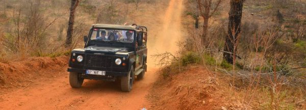 Jeep safari