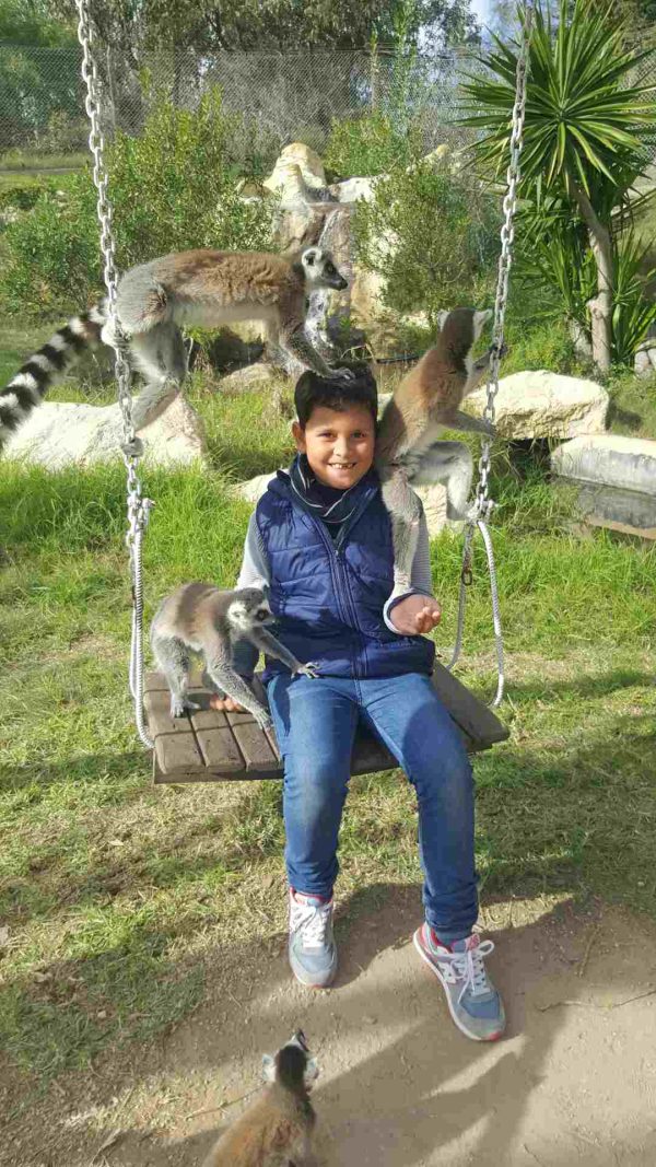 Tiger & Co. im Friguia Park – Bild 3