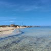 Insel Kuriat - Bootstour & Badespass – Bild 3