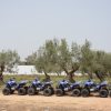 Spass im Doppelpack: Karawane & Quad – Bild 4